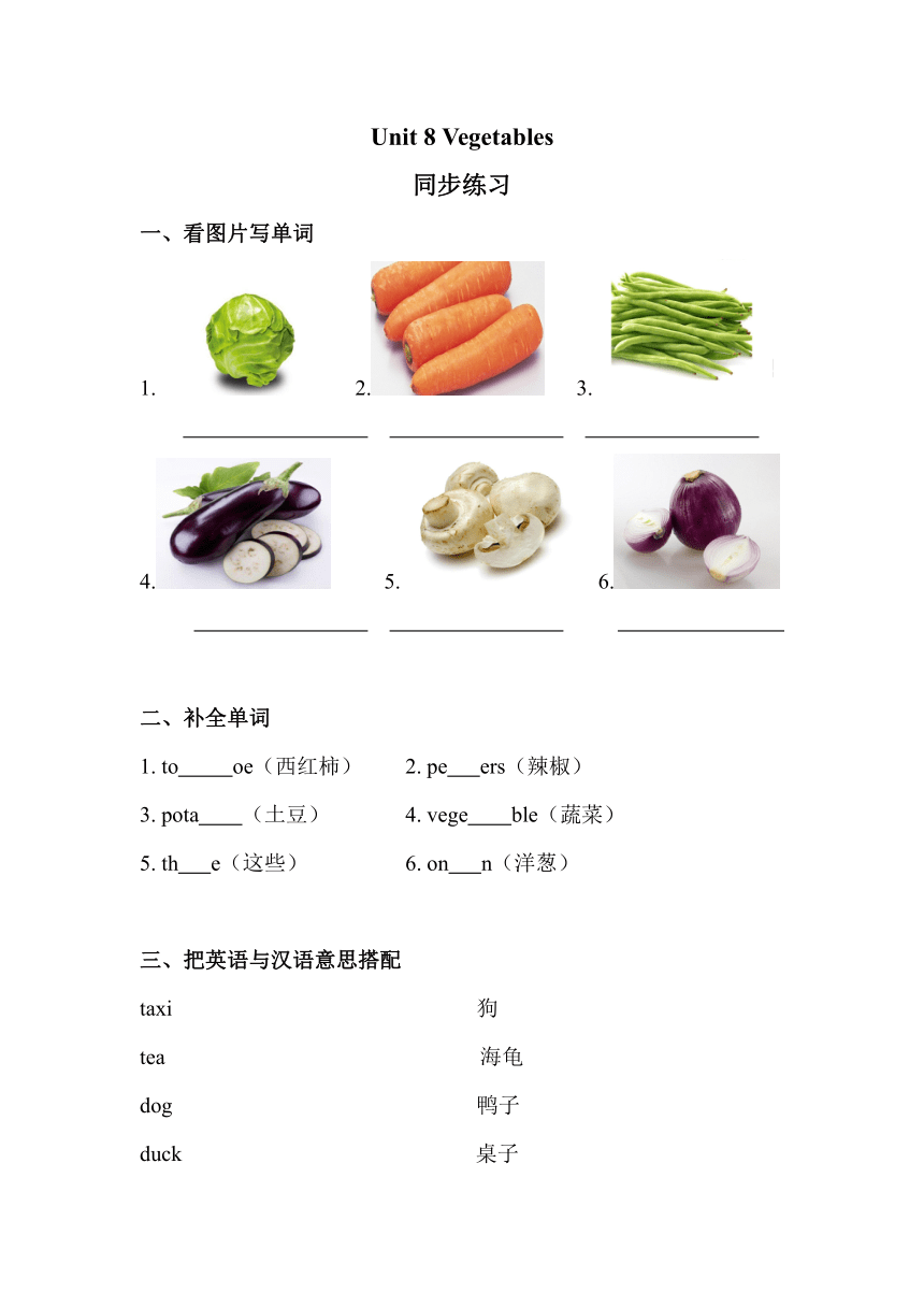 Unit 8 Vegetables 练习（含答案）