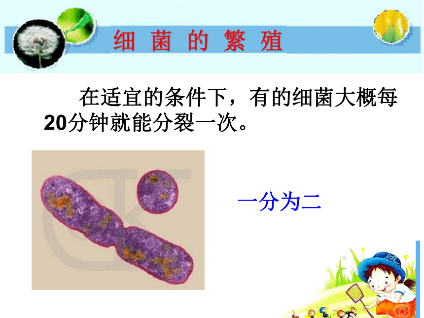 湘教版（2001）五年级下册科学课件-3.3 微生物怎样生活（课件13ppt）