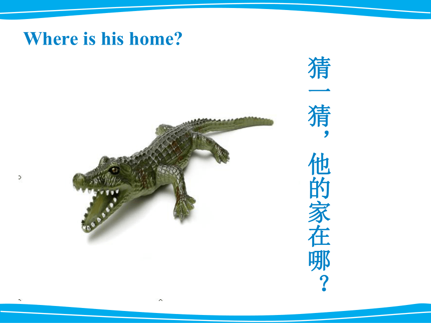 Unit 1 Home sweet home Lesson 2 课件