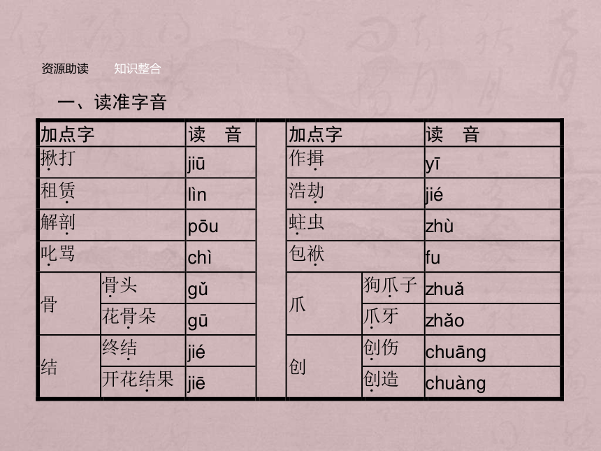 2018-2019学年高一语文人教版必修一课件：8 小狗包弟