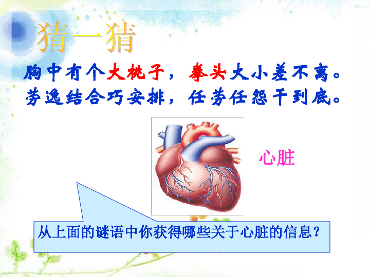 济南版七年级下册第三单元第三章 人体内的物质运输第二节 物质运输的器官（心脏和血液循环）
