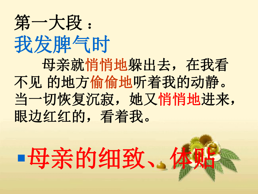 《秋天的怀念》课件