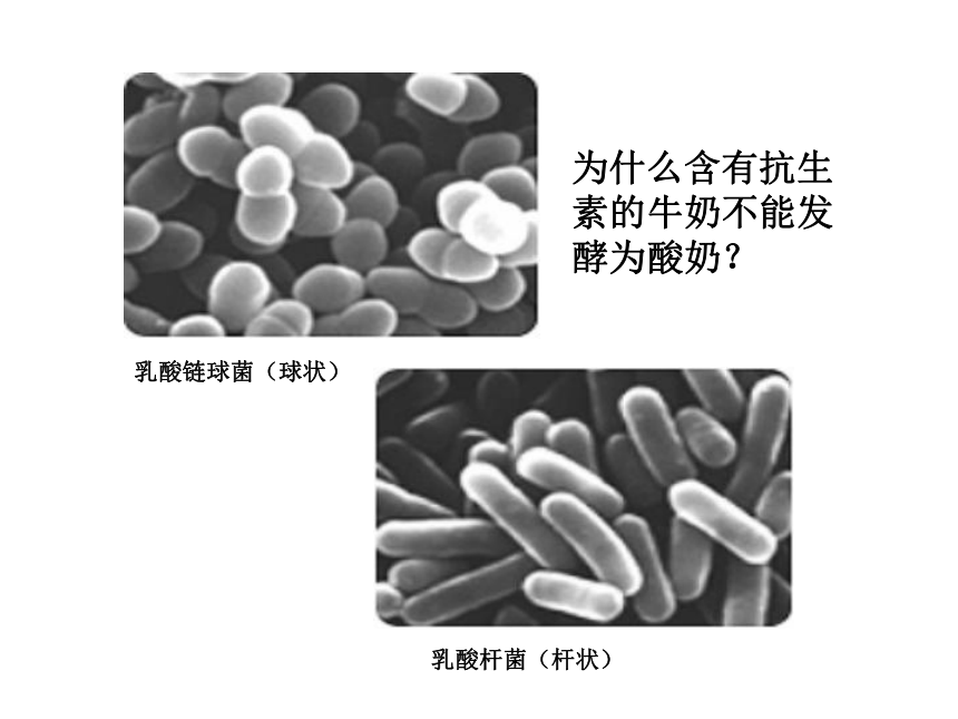 高中生物人教版 选修1课题3制作泡菜并检测亚硝酸盐含量 课件  (29张)