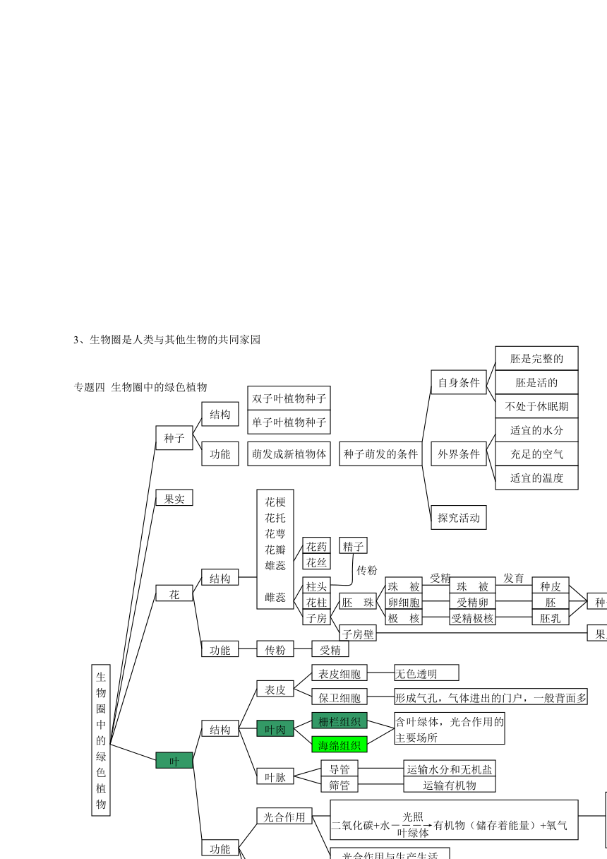 初中科学知识点框架图图片