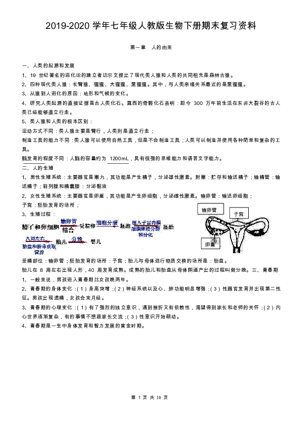 2019-2020学年七年级人教版生物下册期末复习资料