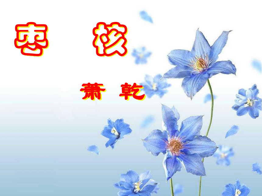 语文七年级上华东师大版2.9《枣核》课件（29张）