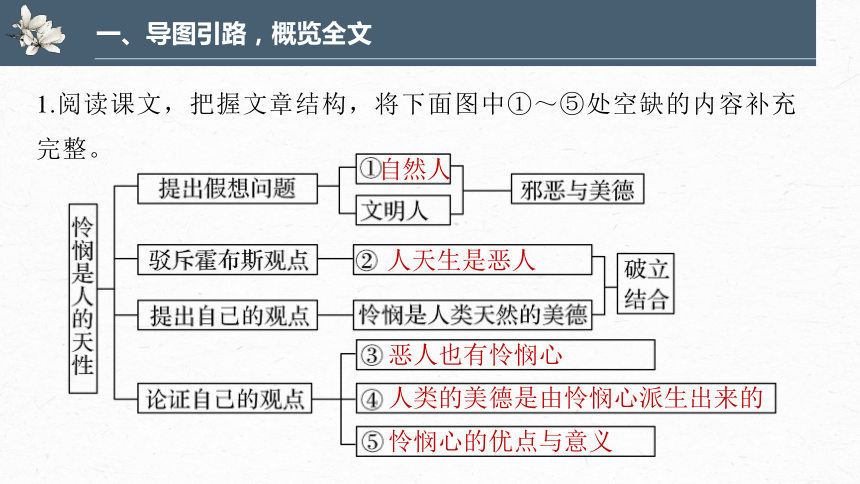 怜悯的近义词图片