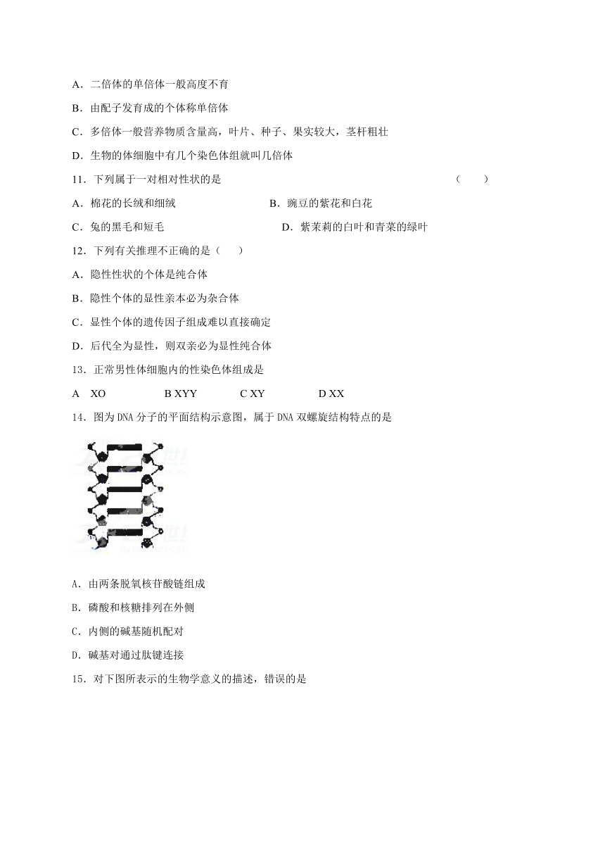 浙江省杭州市西湖高级中学2017-2018学年高二12月月考生物试题