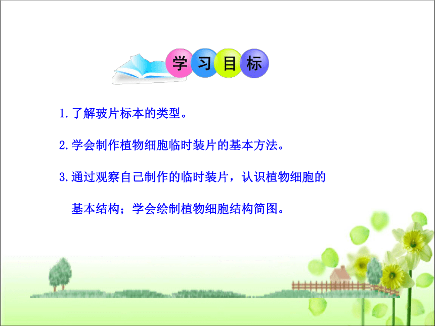 人教版七年级生物 上册 第二单元 第一章 第二节 植物细胞 课件（共38张PPT）