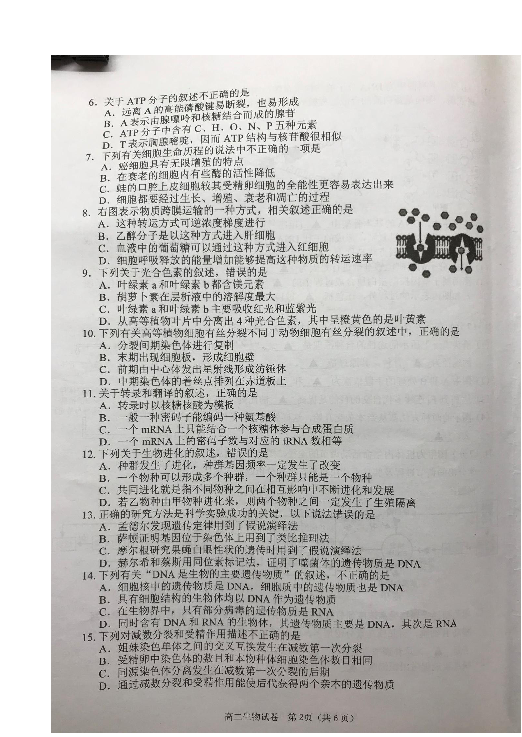 湖南省益阳市2018-2019学年高二上学期期末考试生物（理）试题 扫描版
