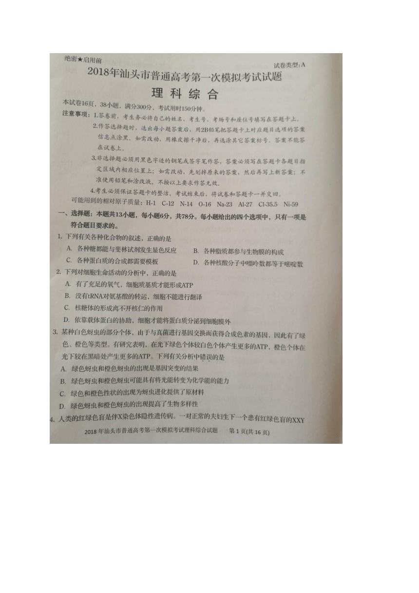 广东省汕头市2018届高三第一次（3月）模拟考试理综试卷（扫描版）