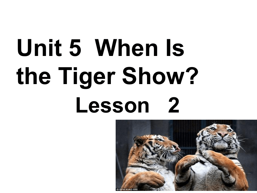 Unit 5 When is the tiger show? Lesson 2 课件