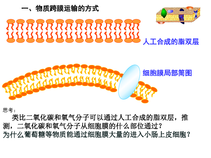 人教版生物必修1 4.3 物质跨膜运输方式（共16张ppt)