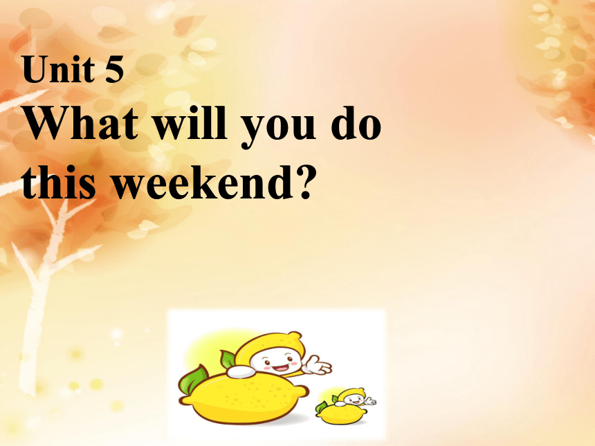 Unit 5 What will you do this weekend? Lesson 29 课件
