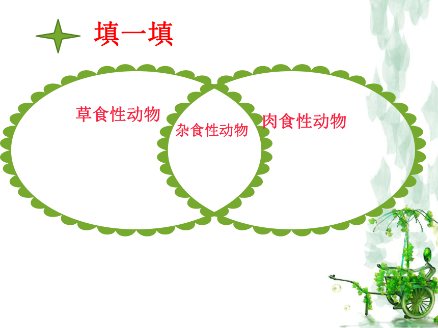 五年级上册科学课件-1.5 动物的食物冀教版  (共20张PPT)