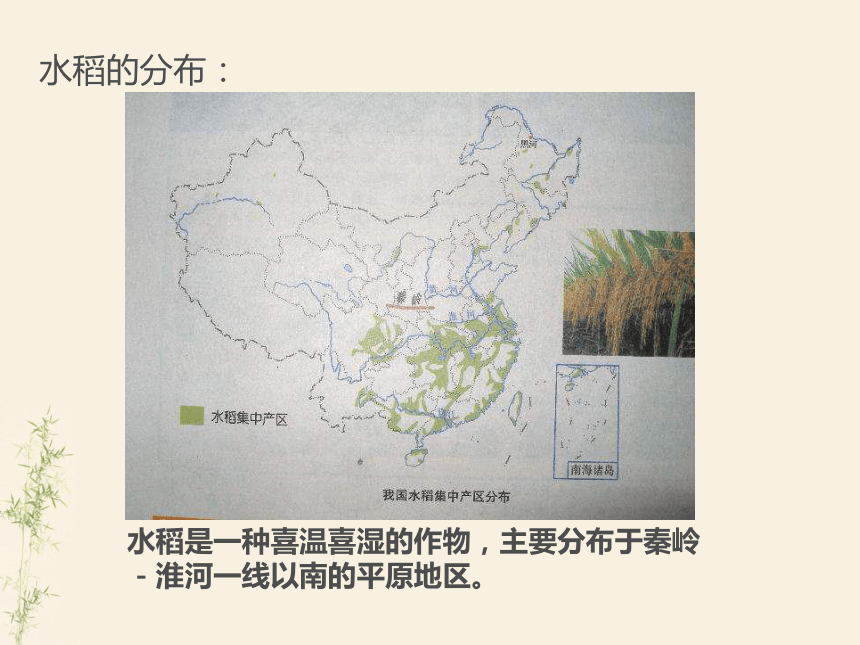 上海教育版地理七下《农业及其地区差异》ppt课件1