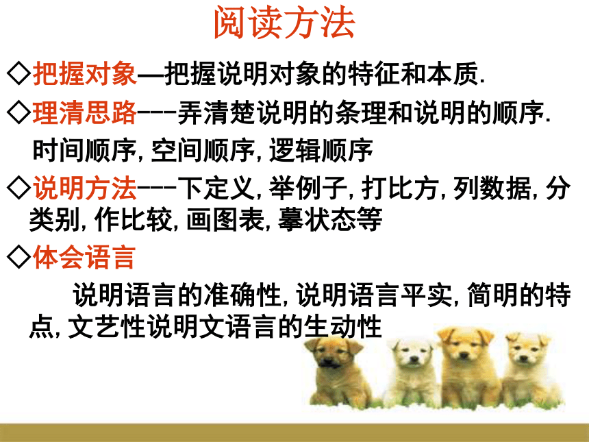 12《动物游戏之谜》（26张ppt）