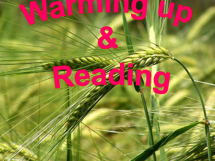 人教 版高中英语必修4 Unit2 Working the land Warming  up and Reading  课件  （共50张PPT）