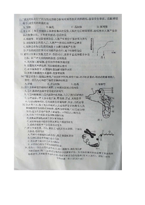 2019山东省东营市中考生物试题（图片版含答案）