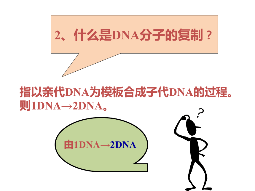 高中生物人教版必修二第三章第3节  DNA的复制  课件 30张PPT