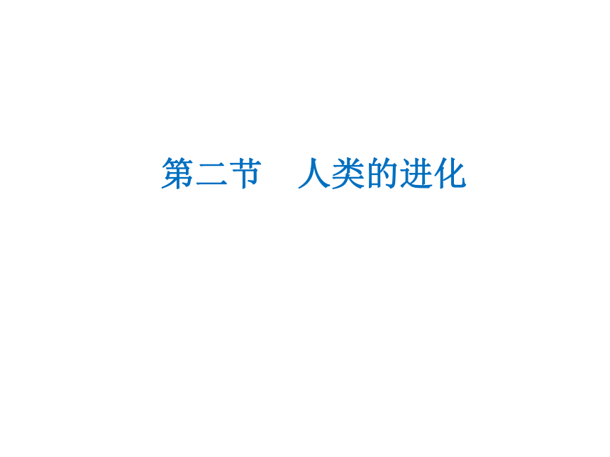 济南版生物八下5.2.2人类的进化 课件（22张ppt）