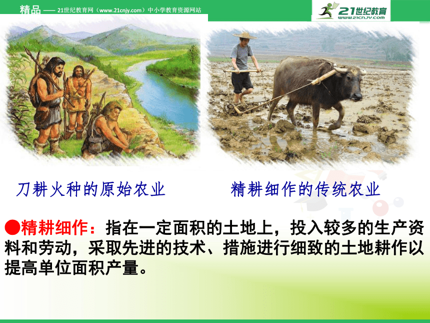 第1课 精耕细作农业生产模式的形成 课件1（岳麓版历史必修2）