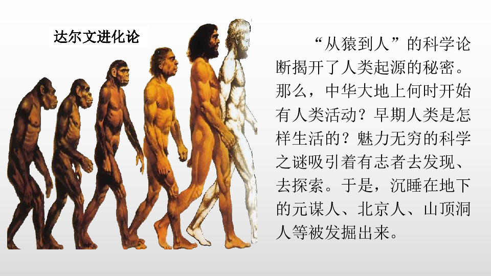 人教部编版七年级历史上册 第1课 中国早期人类的代表——北京人  课件(29张PPT)
