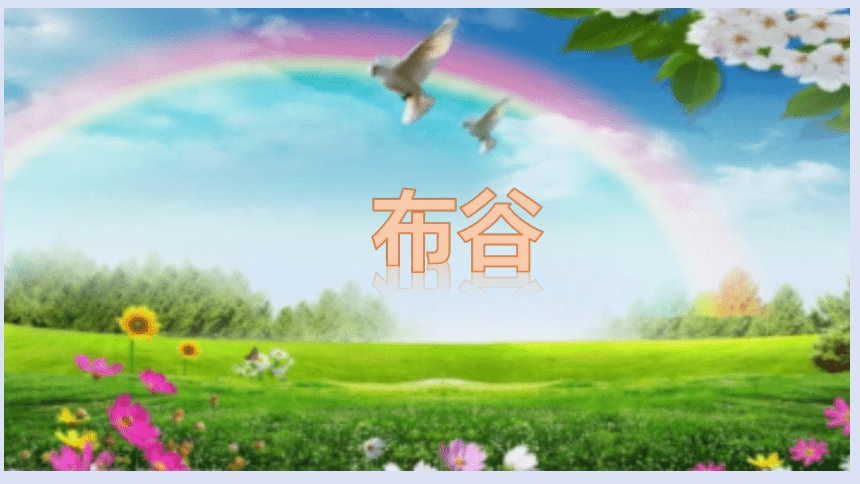 课件预览