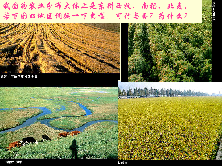 湘教版高中地理必修二3.2农业区位因素与农业地域类型 课件（106张 ppt）