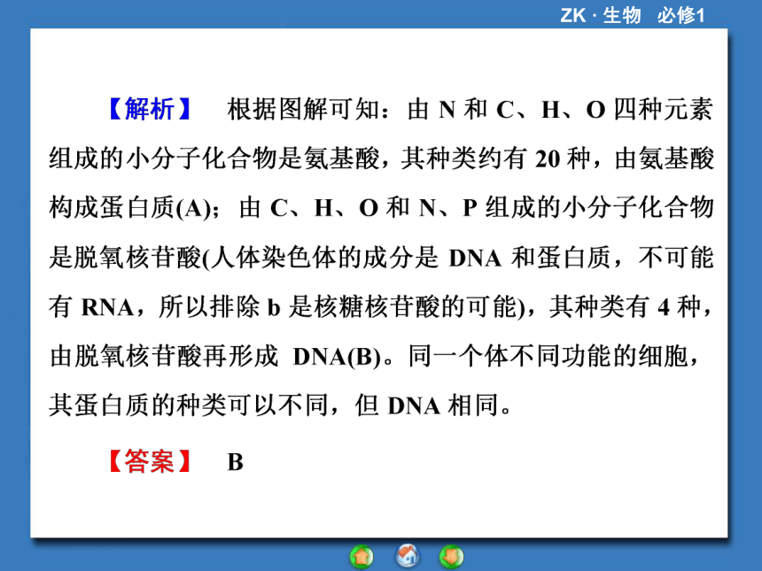 【课堂新坐标，同步备课参考】2013-2014学年高中生物（浙科版）必修1课件：章末归纳提升1第1章 细胞的分子组成（共38张PPT）