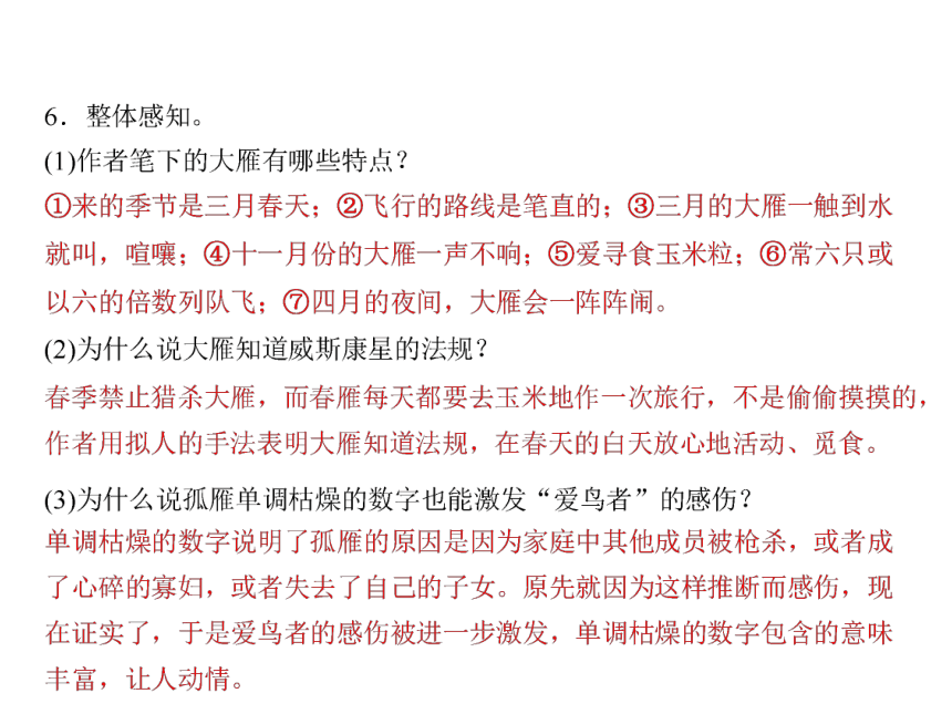 人教版八年级语文下册随堂训练课件：第3单元 14 大雁归来 (共16张PPT)