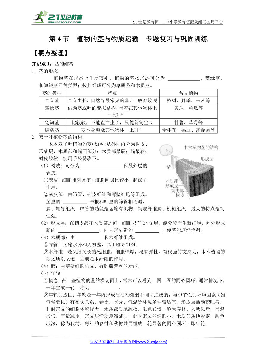 第4节  植物的茎与物质运输　专题复习与巩固训练