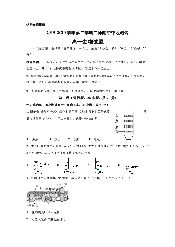 广东二师附中2019-2020学年高一下学期期中段考生物试题（解析版）