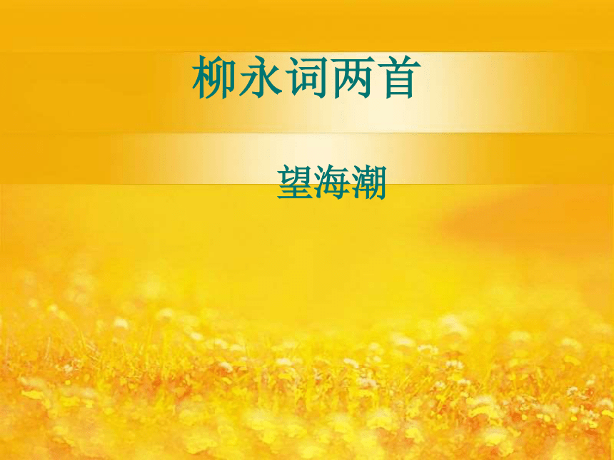 课件预览