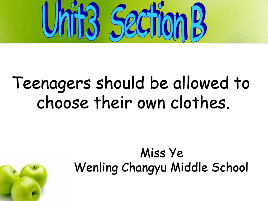 Unit 3 Teenagers should be allowed to choose their own clothes.（Section B 3a-4）