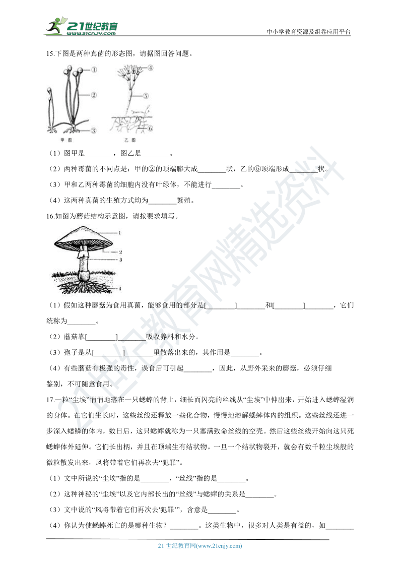 5.4.3 真菌 同步训练(含解析）