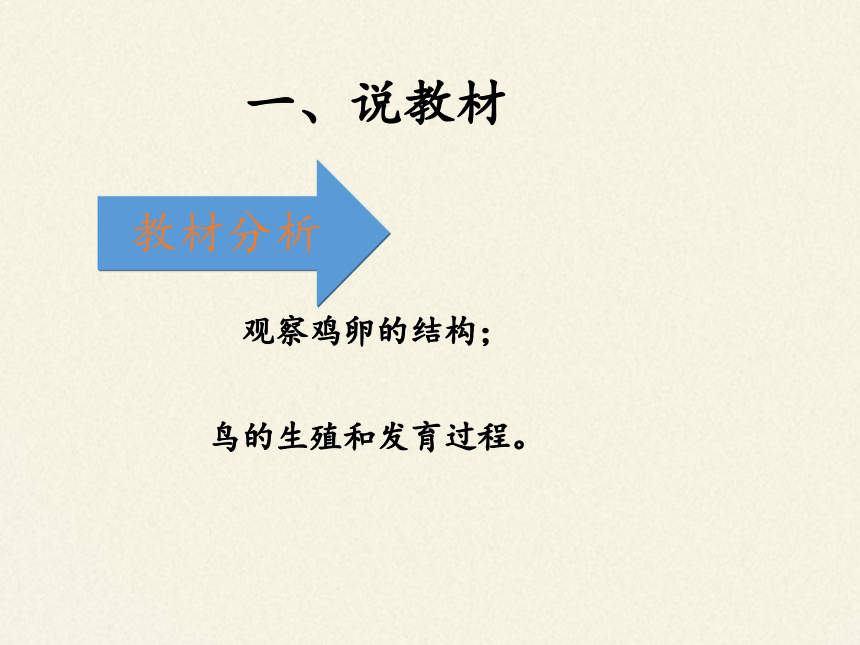 八年级生物下册教学课件-7.1.4鸟的生殖和发育  说课课件（共26张PPT）