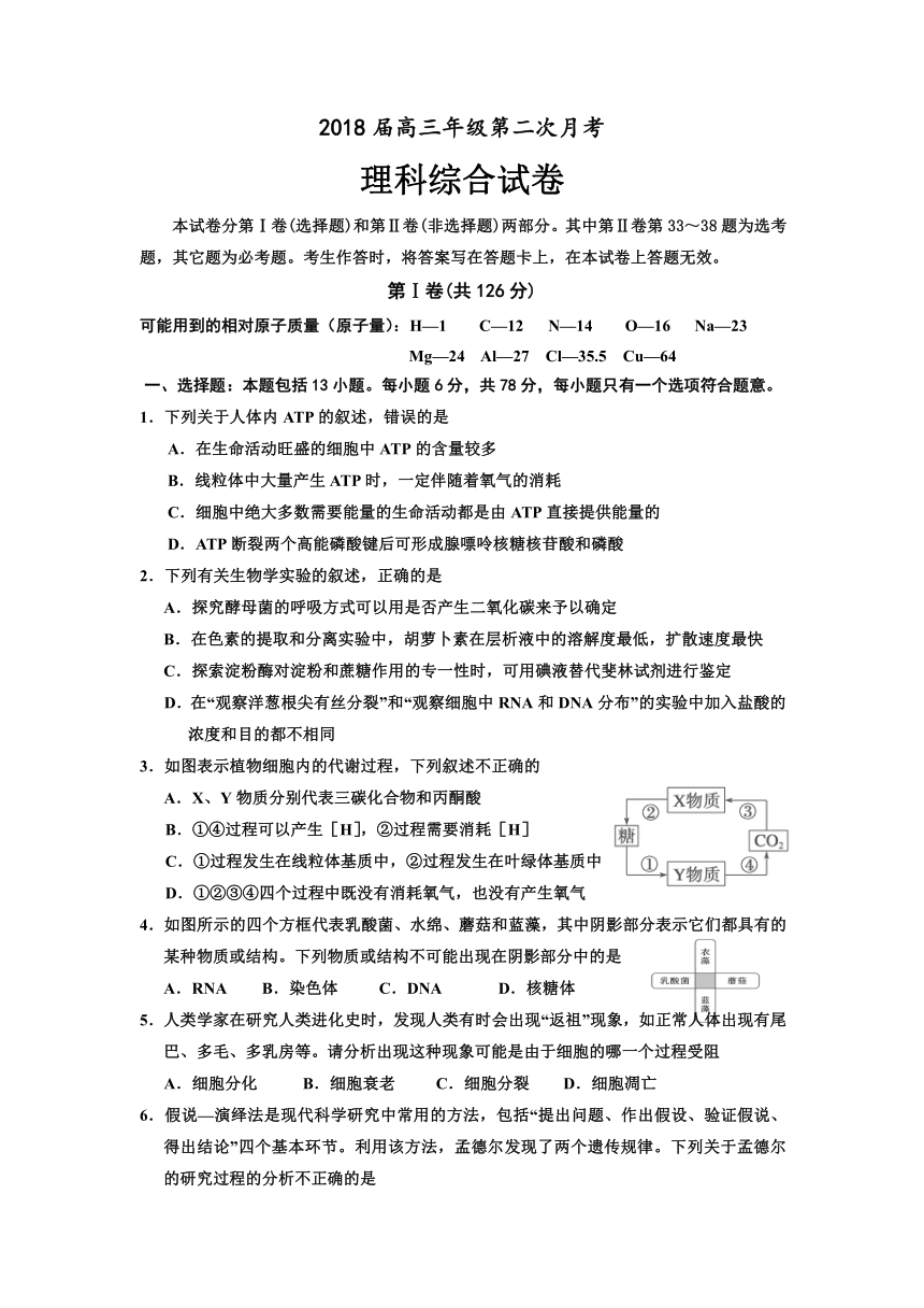 吉林省舒兰市第一高级中学2018届高三第二次月考理科综合试卷