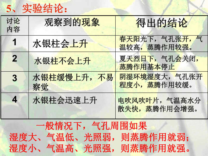 叶的蒸腾作用和结构