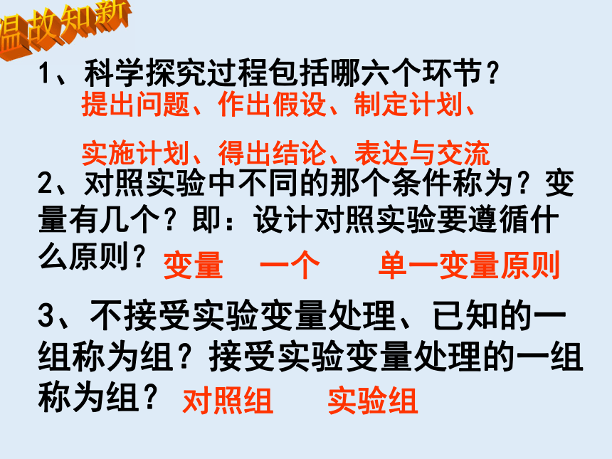 人教版七年级生物 上册 第三单元 第二章 第一节 种子的萌发 课件（共42张PPT）