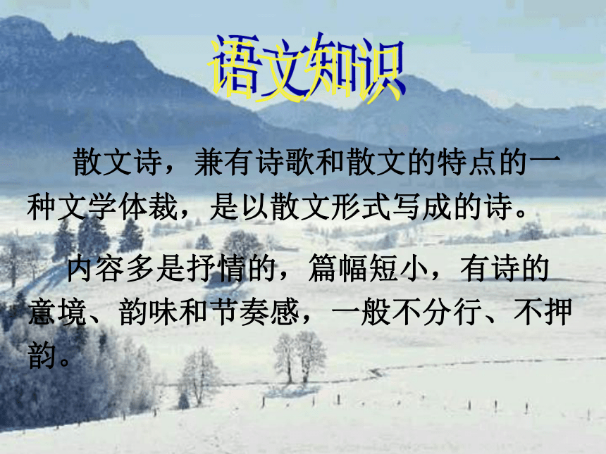 雪 课件