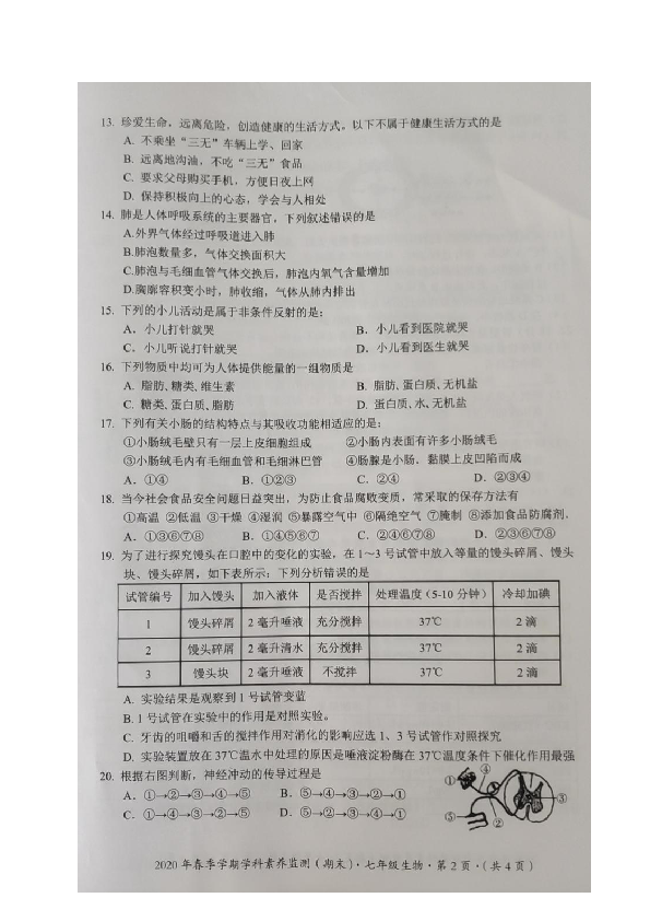 广西钦州市钦北区2019-2020学年七年级下学期期末学科素养监测生物试题（图片版含答案）