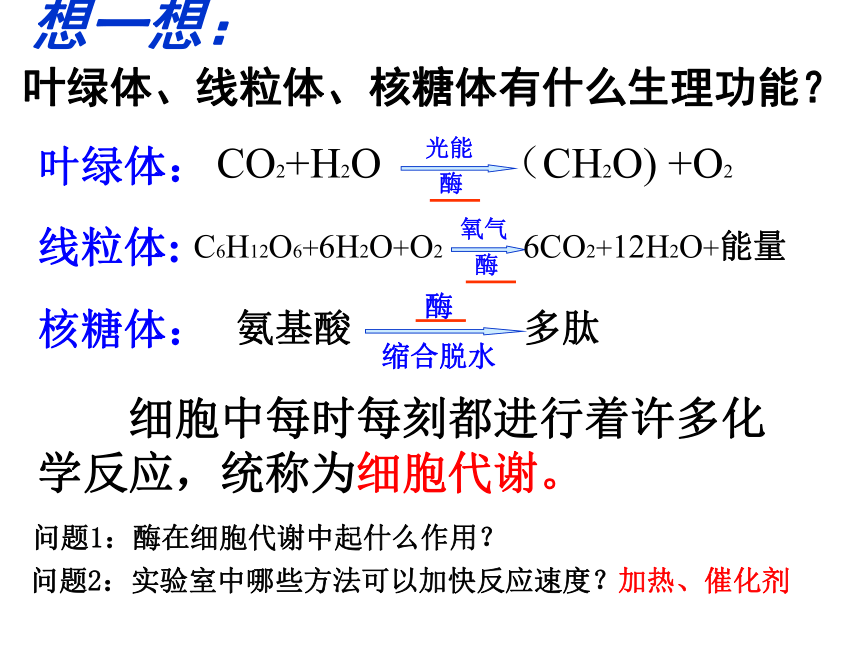 必修1第五章第一节 降低化学反应活化能的酶