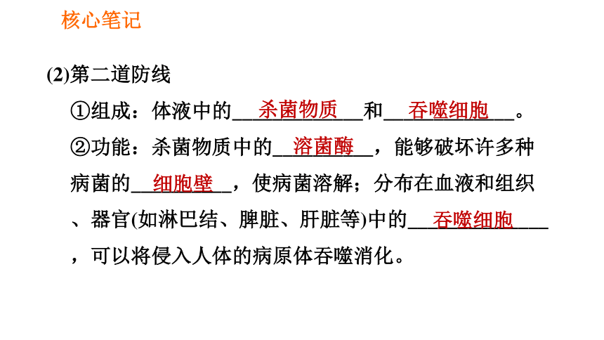 人教版八年級下冊生物課件第八章8121人體的三道防線免疫的功能課件共