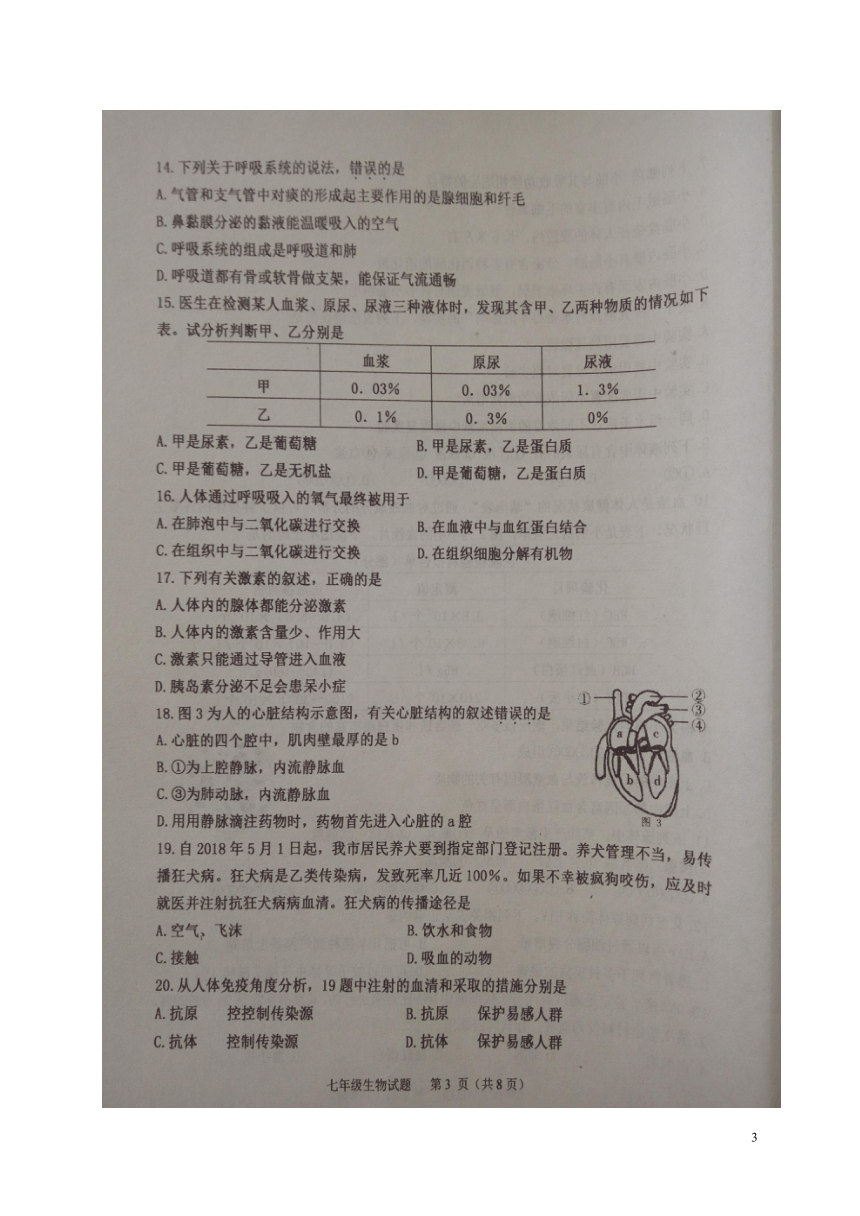 山东省垦利区2017_2018学年七年级生物下学期期末试题（扫描版）