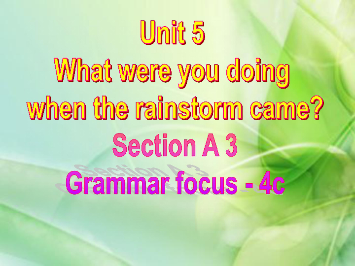 人教版八年级英语下册Unit 5 What were you doing when the rainstorm came? Section A 3 Grammar focus - 4c课件28张