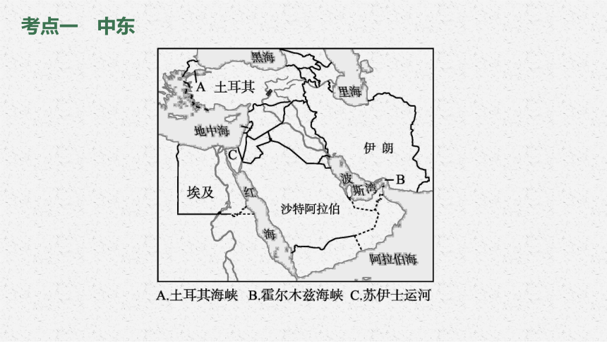 中考地理专题第8讲　中东、欧洲西部（共62张PPT）