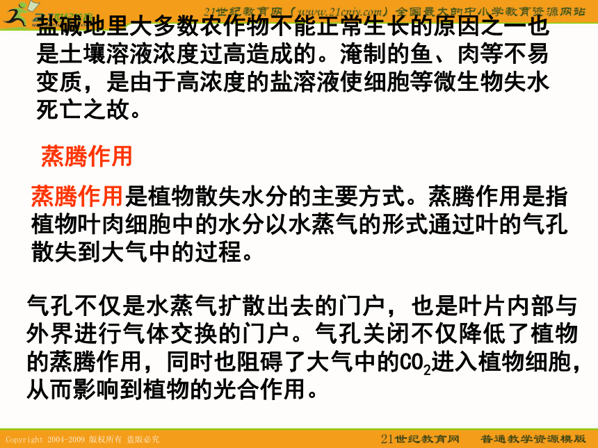 江苏省2010届高三生物二轮复习课件专题（六）：微生物、植物的新陈代谢及其调节