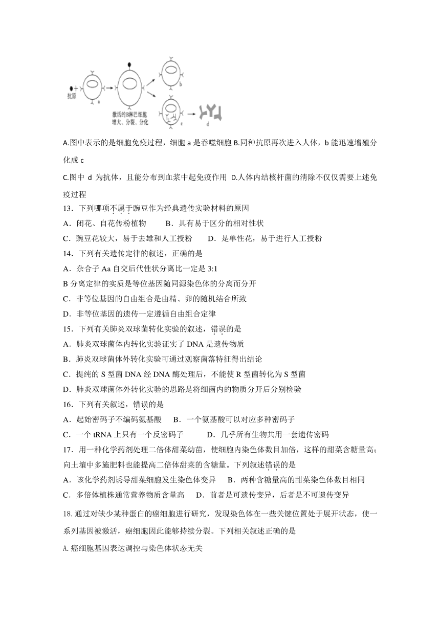 四川省成都外国语学校2017-2018学年高二下学期入学考试生物试题