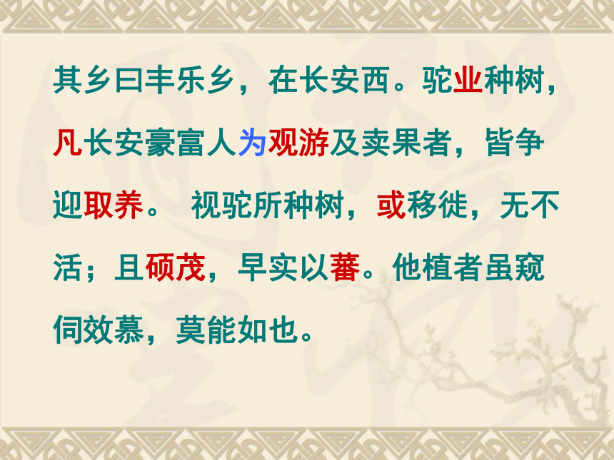 《种树郭橐驼传》优秀课件 (共32张PPT)